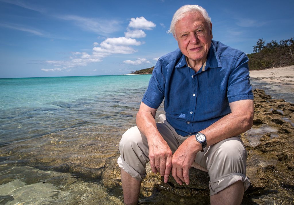 Sir David Attenborough in his Great Barrier Reef series on ABC.